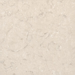 Oyster Grigio