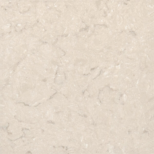 Oyster Grigio